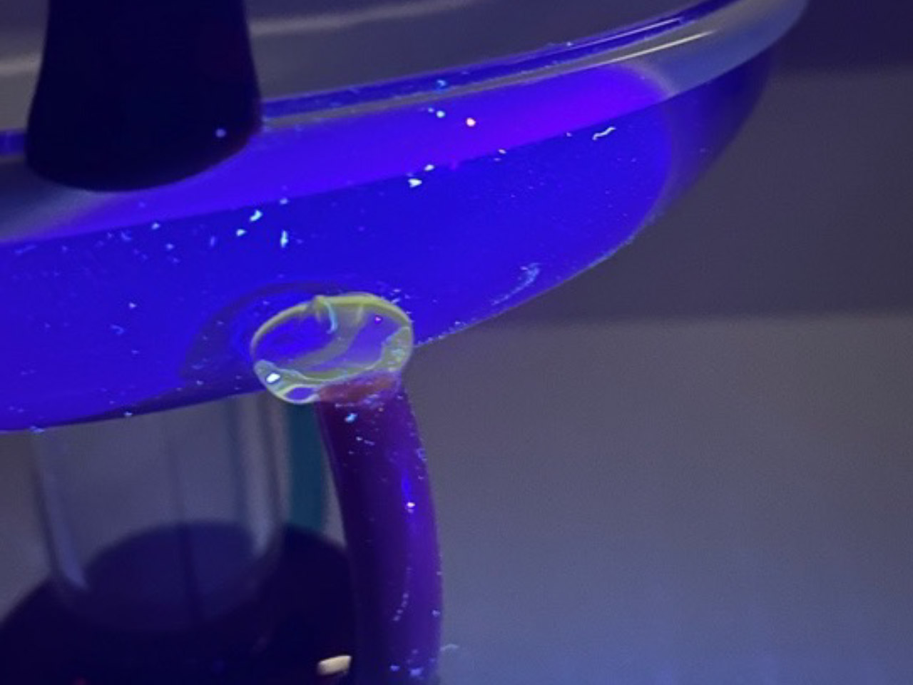 UV studio, Museum Boijmans van Beuningen Foto M. Slager, 2025
